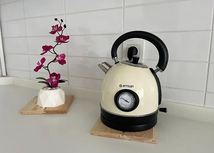 Mia Concept , Family * Ankara